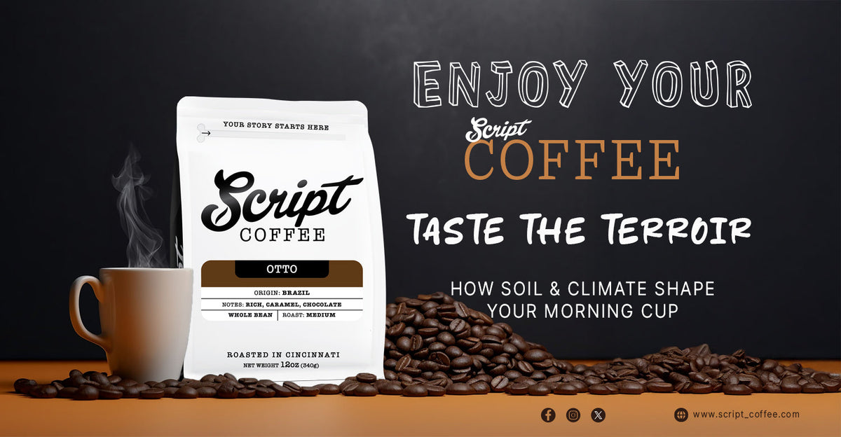 Script Coffee | Lebanon’s #1 Specialty Coffee Roaster & Coffee Shop